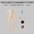 thumbnail image 2 of Doll Body XiDonDon YMY23 YMY25 masculino para muñeca SD BJD articulada, 2 of 7