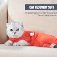 thumbnail image 6 of Pet Recovery Suit Four Legs Abdominal Wound Jacket for Cats, 6 of 9