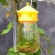 thumbnail image 2 of Paquete de 4 Trampas Reutilizables para Moscas, Trampas para Moscas de la Fruta Fly Catcher Outdoor, 2 of 5