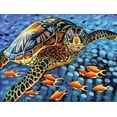 thumbnail image 2 of Art.com Cruising Along I Stretched Canvas Print Wall Art by Carolee Vitaletti, 16" x 12", 2 of 4