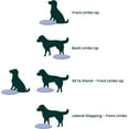 thumbnail image 5 of FitPAWS® Dog Balance Disc - Razzleberry, 22" | Dog Exercise Equipment | Workout Tool for Strength, Core, Stability & Rehabilitation, 5 of 5