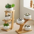 thumbnail image 3 of tredstone Desktop flower rack creative flower rack succulent flower rack small, 3 of 9