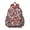 Various Sport Balls, variant on Red Tie Dye Pattern Backpack for School,Schoolbag with Adjustable Shoulder Straps & Padded Back,13.4"x11"x4.7"