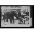thumbnail image 2 of Historic Framed Print, [Sheba eating out of children's hand], 17-7/8" x 21-7/8", 2 of 9