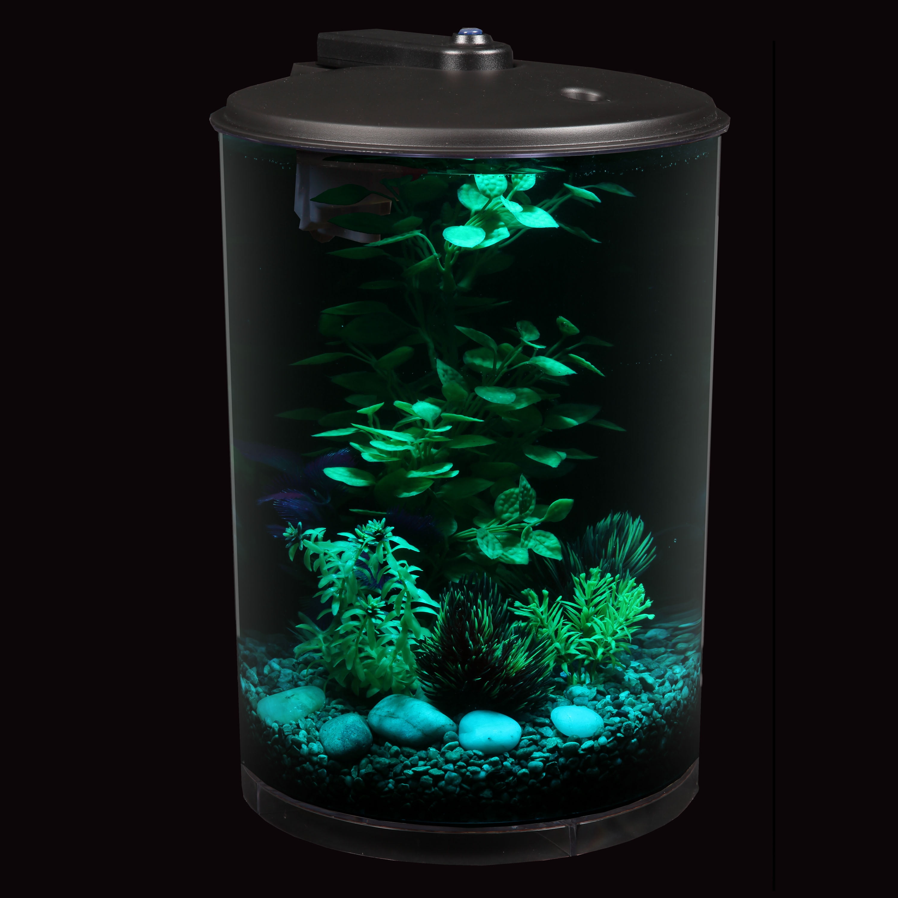 hawkeye 3 gallon 360