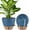 Navy Blue, variant on 2 Pack 10 inch Plant Pots, Plastic Self Watering Planters with Drainage Holes, Deep Reservoir, Water Level Indicator, Modern Decorative Flower Pots for Indoor Outdoor Plants (Navy Blue, 10 inch)