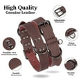 thumbnail image 3 of Didog Soft Leather Dog Collars for Pets Adjustable Neck Strap with Durable Metal Buckle and D-ring, 3 of 8
