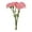 B, variant on Floral Arrangement for Home Carnation Array in Vase with Daylight- Realistic Petals and Lifelike for Elegant Interior
