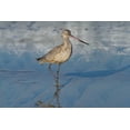 thumbnail image 2 of Peterson, Lee 18x13 Gold Ornate Wood Framed with Double Matting Museum Art Print Titled - Shore Bird I, 2 of 4