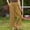 Coffee, variant on Tummy Control Cropped Wide Leg Pants Stretchy Resort Wear Yoga Pants High Waist Vacation Beach Pants Travel Breathable Elastic Waist Pants Loungewear Drawstring Waist Wide Leg Brown 2XL