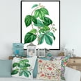 thumbnail image 2 of Designart 'Ancient Green Leaves Plants III' Traditional Framed Canvas Wall Art Print, 2 of 5