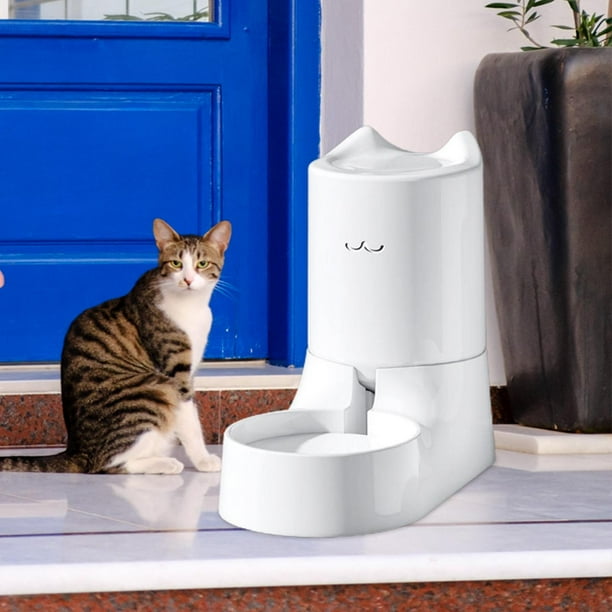 Pets at clearance home water dispenser