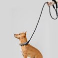thumbnail image 5 of Tactical Dog Collar, Adjustable Training Nylon Dog Collar and for Medium and Large Dogs, 5 of 5