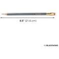 thumbnail image 2 of Lápices Blackwing Palomino 602 Heritage Grey, 12 unidades, 2 of 7