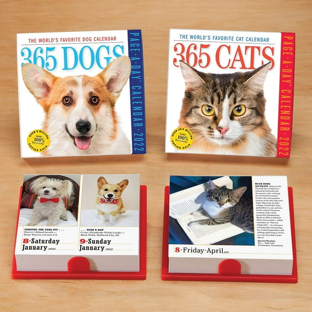 365 Cats Page-A-Day Calendar 2023 (Calendar) - Walmart.com