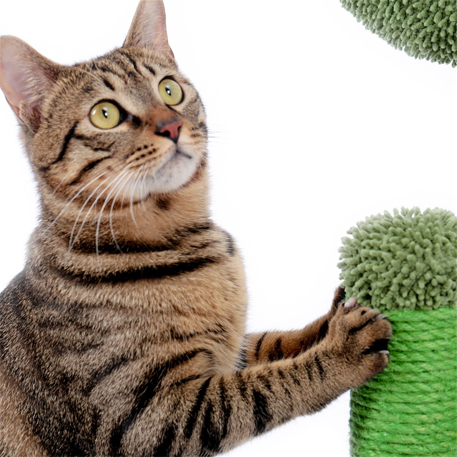 Pefilos Cat Scratching Post for Indoor - Cat Scratching Post for Adult Cats Cactus Sisal Rope Cat Scratcher with Hanging Ball Cat Scratching Post for Furniture, Green Pefilos Cat Scratching Post for Indoor - Cat Scratching Post for Adult Cats Cactus Sisal Rope Cat Scratcher with Hanging Ball Cat Scratching Post for Furniture, Green