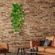 thumbnail image 5 of Colgante de pared verde artificial - enredadera de hiedra plástica de 100 cm de longitud con 168 hojas para decoración interior, hogar, apartamento, oficina, escalera, 5 of 7