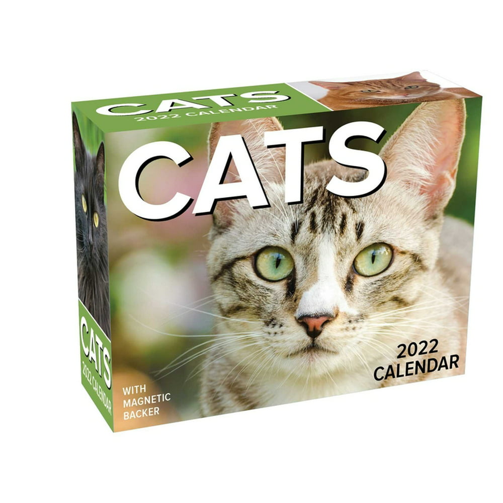cats-2022-mini-day-to-day-calendar-calendar-walmart-walmart