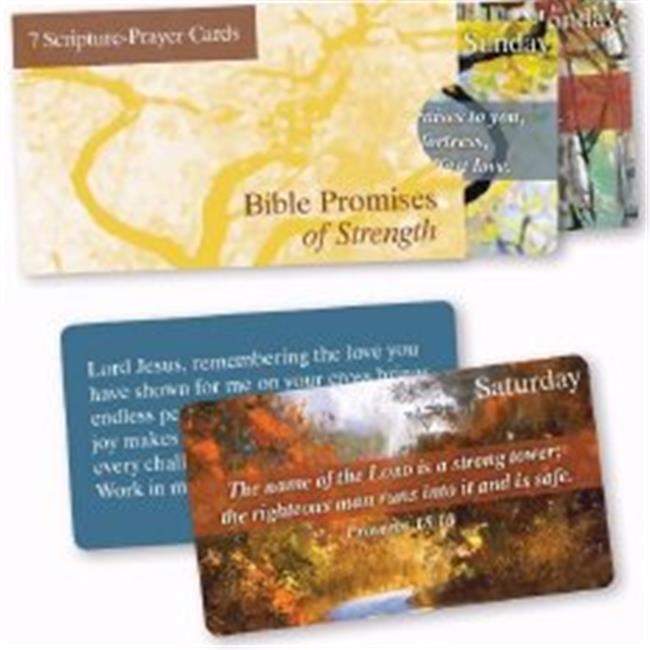 Christian Tools of Affirmation 145597 Laminated Scripture Cards Bible