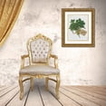thumbnail image 3 of Frank, Assaf 12x14 Gold Ornate Wood Framed with Double Matting Museum Art Print Titled - Parsley, 3 of 4