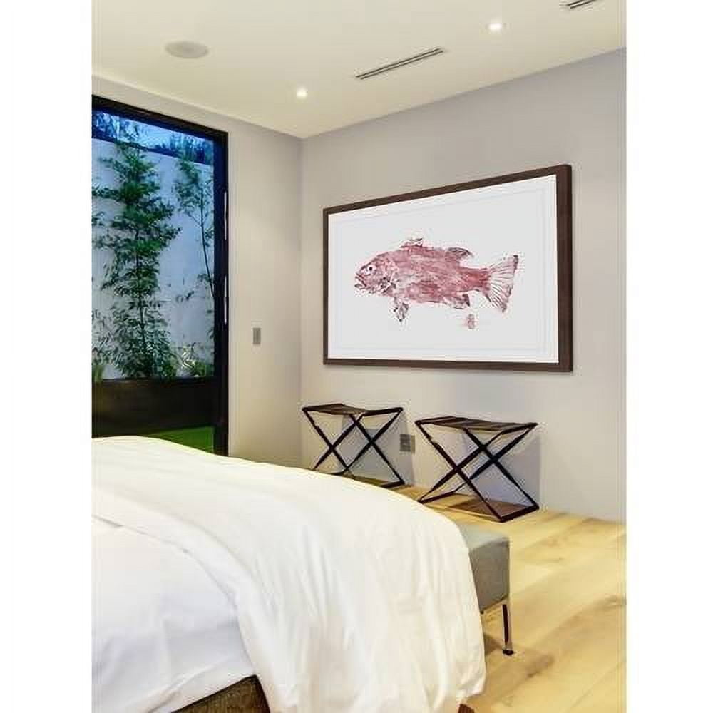 "Cubera Snapper" Framed Painting Print