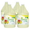 thumbnail image 1 of Safeblend Foam Soap, 4-pack, 1 of 1