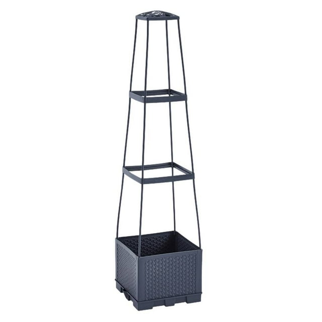 Bgsha Raised Garden Bed Tomato Planting Box ,for Climbing Plants Flowers Vegetables