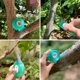 thumbnail image 5 of Cinta de Injerto, 2 Piezas de Cintas de Injerto de 120 M, Cinta de Injerto de Vivero Estirable Autoadhesiva Biodegradable, Cinta Adhesiva de Injerto Segura y Ecológica, Verde, 5 of 5