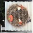 thumbnail image 3 of Ambesonne Hedgehog Shower Curtain, Animal and Mushroom Print, 69"Wx84"L, Coconut and Burnt Sienna, 3 of 4