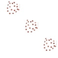 thumbnail image 3 of Cateissary 1 Juego de decoraciones para fiestas, interesantes, delicadas, pequeñas, pequeñas, para interiores, estrellas para el hogar, accesorios de Type1 NO1 Cateissary CBP381563, 3 of 6