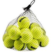WILSON Sporting Goods WILSON Pressureless Tennis Balls - 18 Ball Bag, original version WRT1323