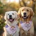 thumbnail image 2 of Dog Bandana 2 Pack,Ballet Princess Girls Pattern Bandanas for Dogs,Cat Bandana,Small/ Large Dog Bandana 2 Size,Dog Bandanas, 2 of 6