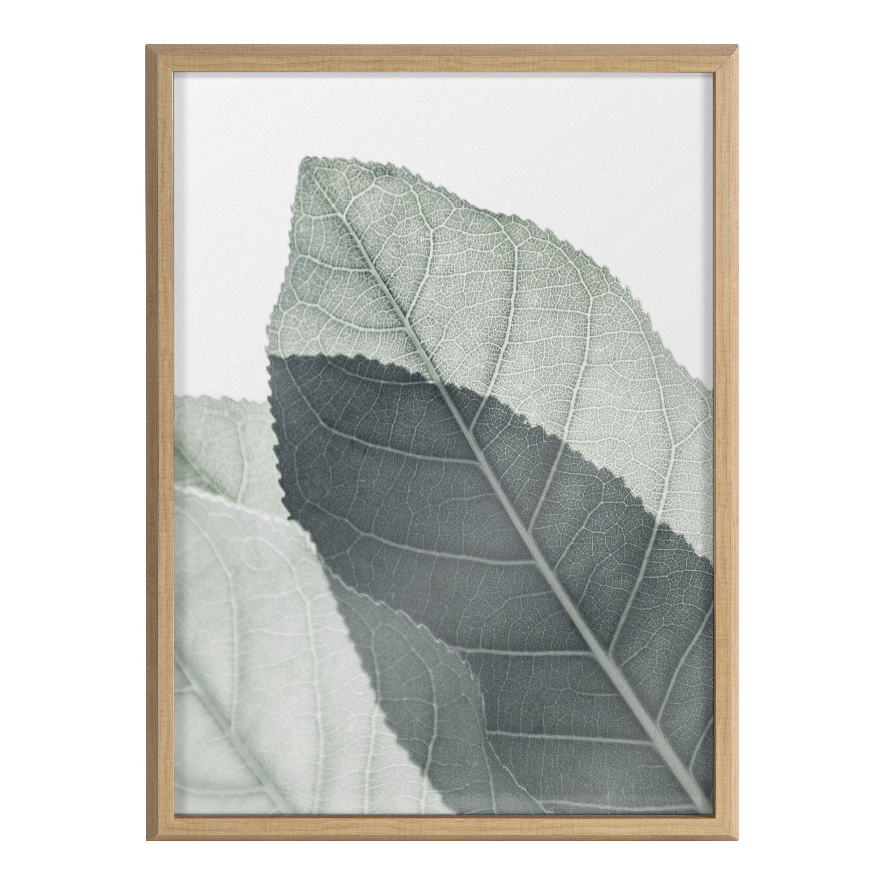 Blake Modern Green Leaf Botanical II 18 in x 24 in Framed Photography Art Prints, by Kate and Laurel