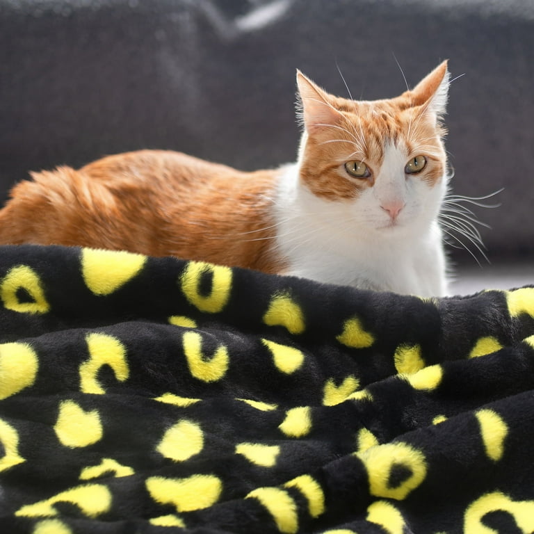 Fluffy cheetah blanket new arrivals