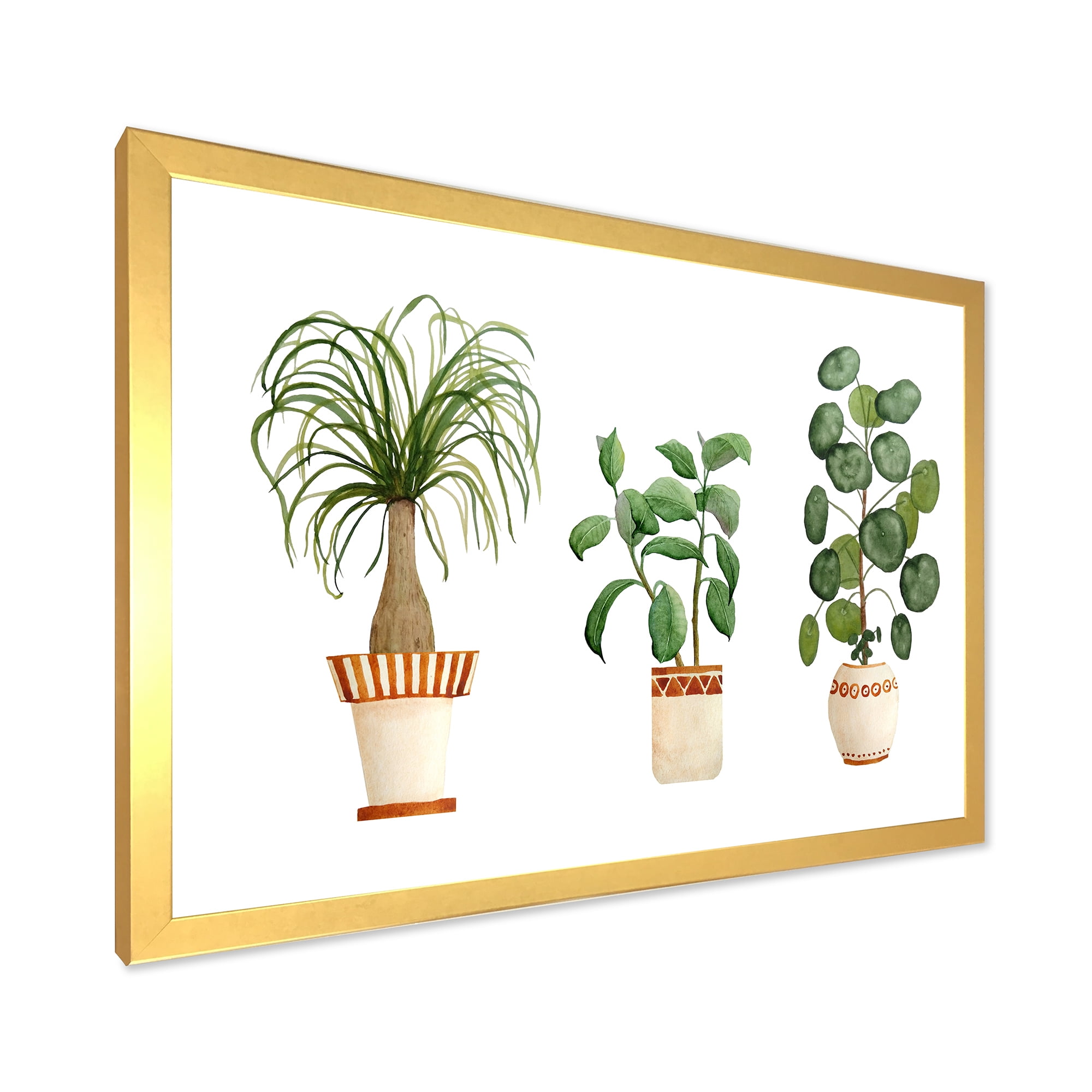 Designart 'Trio of House Plants Ficus Ponytail and Palm' Traditional Framed Art Print