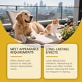 thumbnail image 6 of Pet Hair, Temporary Pet Hair, Gentle, Non-irritating And Easy To Color For Fashionable Dogs, 6 of 9