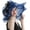 Navy Blue, variant on Women Hats Organza Butterfly Decoration Wide Brim Occasion Event Derby Church Dress Sun Hat