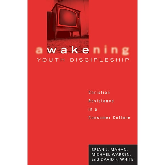Awakening Youth Discipleship (Paperback)