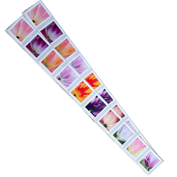 20 Tulip Blossoms USPS Forever Postage Stamp US First Class Flower Spring Wedding Holiday Celebrate Announcement Party (20 Stamps)
