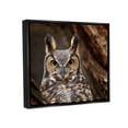 thumbnail image 3 of Stupell Industries Horned Owl Nature Photography Animals & Insects Photography Black Floater Framed Art Print Wall Art, 3 of 6