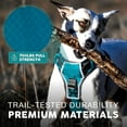thumbnail image 3 of Embark Adventure Dog Harness, No-Pull Reflective Trim Dog Harness for Small, Medium & Large Dogs - Military Grade Nylon, 2 Leash Clips & Gel Lined Handle. Soft & Padded Puppy Dog Vest for Any Breed, 3 of 9