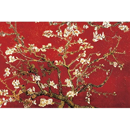 Almond Blossom - Red Poster by Vincent van Gogh 36x24in - Walmart.com