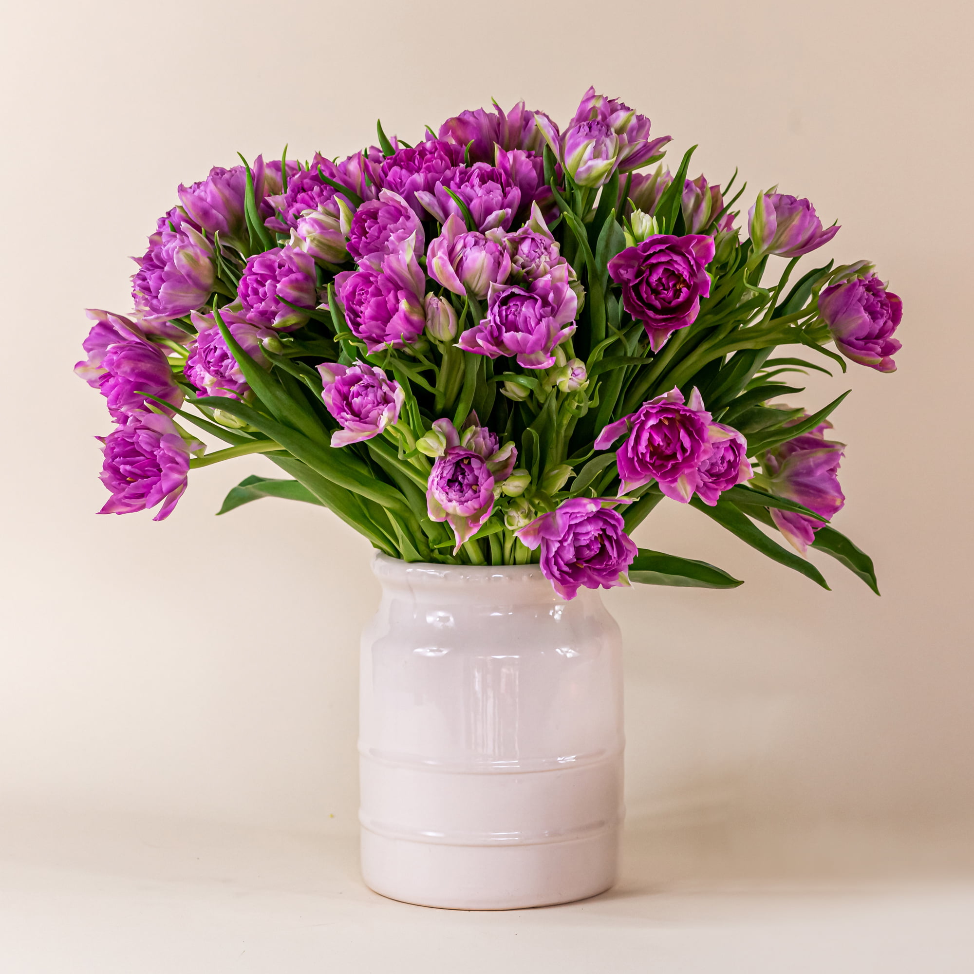 50 Lavendar Peony Tulip Bouquet – ForkandFlowers