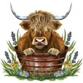 thumbnail image 2 of CafePress - Highland Cow Sitting In A Metal Long Sleeve Infant T Shirt - Long Sleeve Infant T-Shirt, 2 of 2