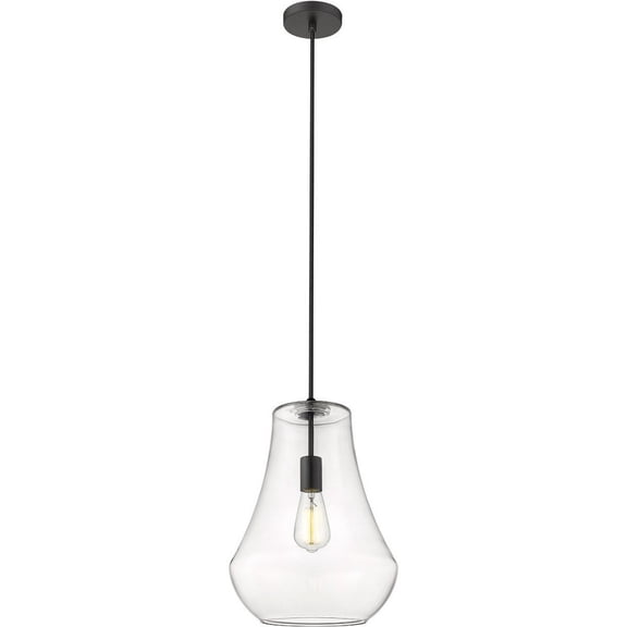 491-1P-BK-G572-12 Innovations Lighting Fairfield - 1 Light Mini Pendant In Industrial Style-16 Inches Tall and 11.75 Inches Wide-Matte Black