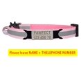 thumbnail image 1 of Collar reflectante con hebilla de seguridad para gatos, ajustable, personalizado, sin grabado, collar de nailon para cachorros y gatitos Tan Jianjun unisex, 1 of 2