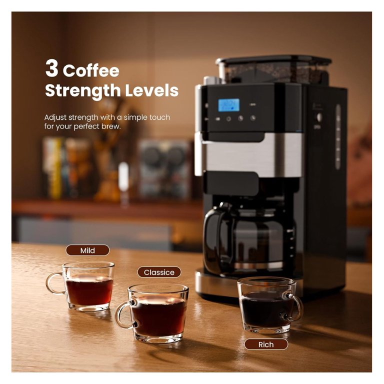 5 cups of coffee to oz 50-100 Pack Disposable Coffee Cups with Lids, Sleeves & Stir Sticks  SYBO  Kitchen