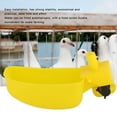 thumbnail image 1 of Lightweight Quail Drinking Bowl, Save Time And Effort Pigeons Waterer Bird Watering System For Farming Tools, 1 of 8