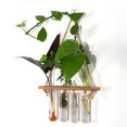 thumbnail image 3 of Estación de propagación de plantas terrario de plantas para colgar en la pared con soporte de madera maceta de vidrio tubo de ensayo colgador de plantas jarrones de flores ANGGREK Otros, 3 of 8