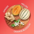 thumbnail image 2 of Crema corporal Calgon Skin Nourishing Hawaiian Ginger 240ml, 2 of 8